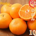 訳あり みかん 計10kg【2025年10月上旬から2026年2月下旬発送予定】【Foody's】