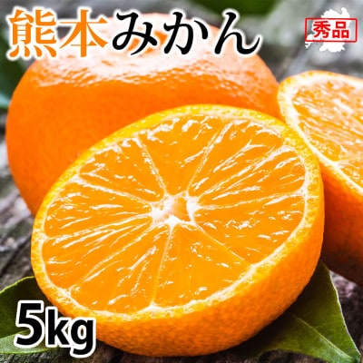 みかん 秀品 計5kg【2024年11月下旬から2025年2月下旬発送予定】【Foody's】