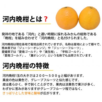 訳あり河内晩柑 みかん 4kg【2025年3月下旬～7月下旬発送予定】【Foody's】(熊本市)