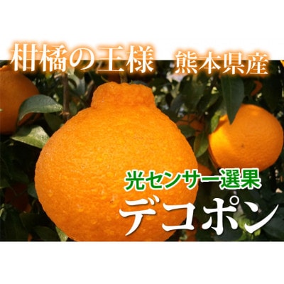 デコポン 光センサー選果 約2kg【2025年12月中旬から2026年4月下旬発送予定】(熊本市)