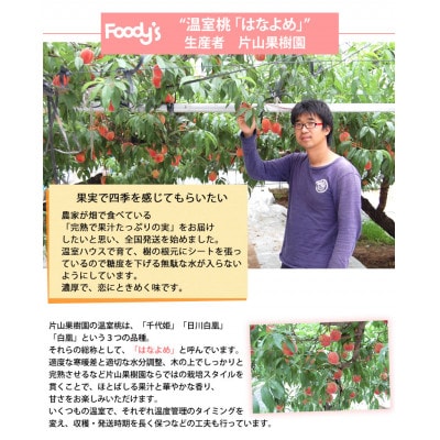 桃 はなよめ 秀品 約900g【2026年5月下旬から2026年6月下旬発送予定】(熊本市)