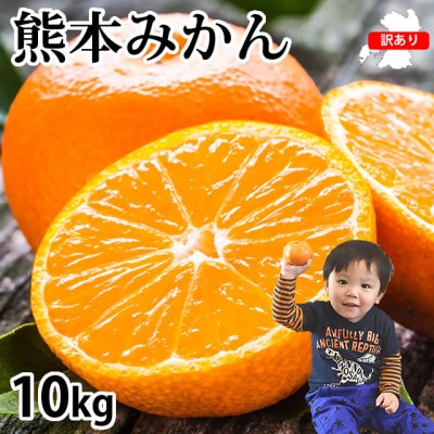 訳あり 熊本みかん 計10kg【2025年10月上旬から2026年2月下旬発送予定】(熊本市)