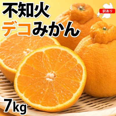 訳あり 不知火 デコみかん 計7kg 【2026年1月下旬から2026年4月下旬発送予定】(熊本市)