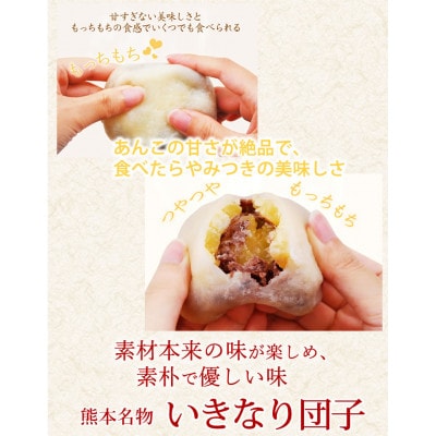 肥後屋 いきなり団子 白(小豆あん) 10個入り 熊本名物(熊本市)
