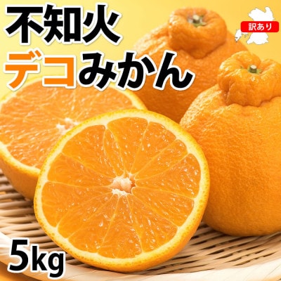 訳あり 不知火 デコみかん 計5kg 【2026年1月下旬から2026年4月下旬発送予定】(熊本市)