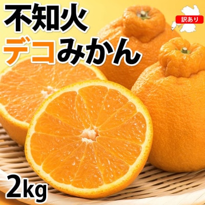 訳あり 不知火 デコみかん 計2kg【2026年1月下旬から2026年4月下旬発送予定】(熊本市)