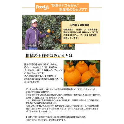 訳あり 不知火 デコみかん 計2kg【2026年1月下旬から2026年4月下旬発送予定】(熊本市)