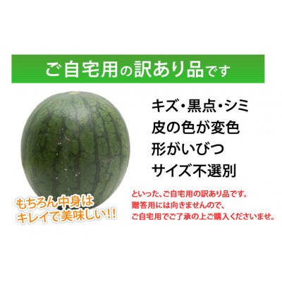 訳あり大玉すいか 1玉(約6kg～9kg)【2026年5月下旬～8月中旬発送予定】(熊本市)