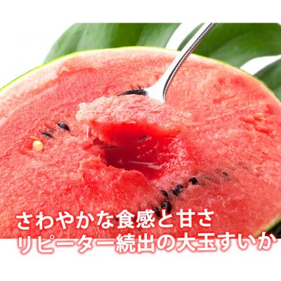 訳あり大玉すいか 1玉(約6kg～9kg)【2026年5月下旬～8月中旬発送予定】(熊本市)