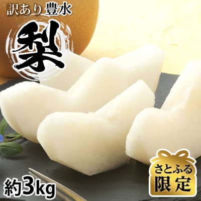 【さとふる限定】訳あり 豊水梨 約3kg【2026年8月下旬から2026年9月下旬発送予定】熊本市
