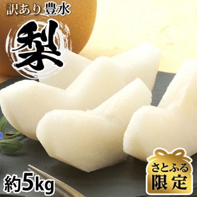 【さとふる限定】訳あり 豊水梨 約5kg【2026年8月下旬から2026年9月下旬発送予定】