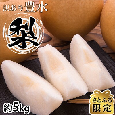 【さとふる限定】訳あり 豊水梨 約5kg【2026年8月下旬から2026年9月下旬発送予定】
