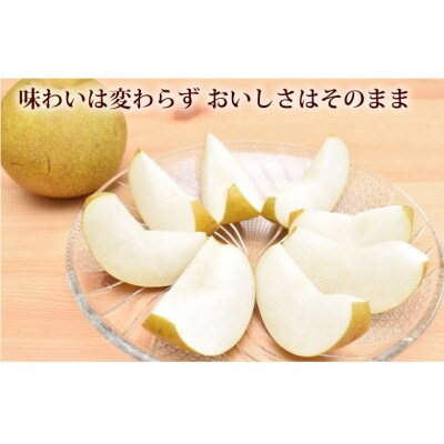 【さとふる限定】訳あり 豊水梨 約5kg【2026年8月下旬から2026年9月下旬発送予定】