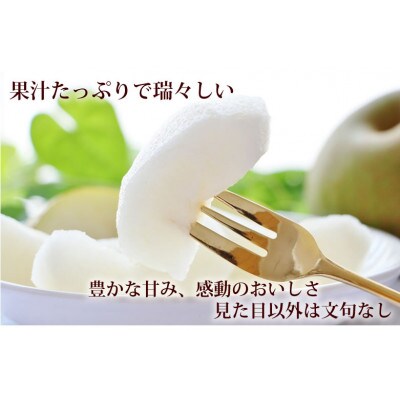 【さとふる限定】訳あり 豊水梨 約5kg【2026年8月下旬から2026年9月下旬発送予定】