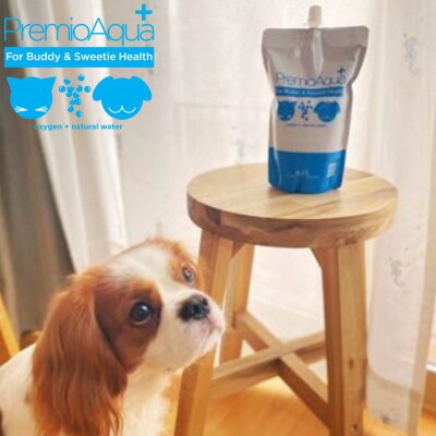 PremioAqua+(500ml×16本×2箱)  ペット用 飲用酸素水【穗栄】