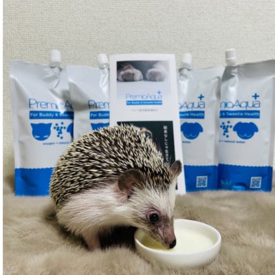 PremioAqua+(500ml×16本×2箱)  ペット用 飲用酸素水【穗栄】