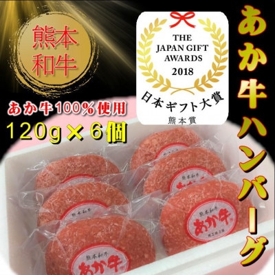 あか牛100%ハンバーグ 120g×6個(熊本市)