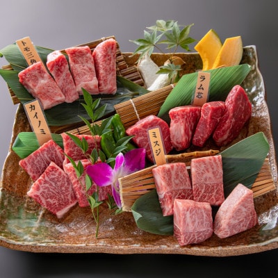 熊本焼肉 プリンスガーデン お食事券 5,000円分 アイス付き 【株式会社マイライフ】