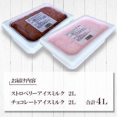 2Lアイス セット (チョコ・ストロベリー) 合計4L 自家製 業務用【弘乳舎】