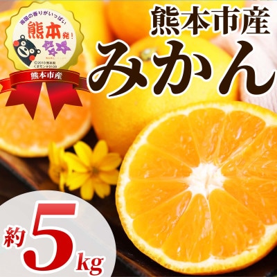 温州みかん　2S～2L　約5kg(熊本市)
