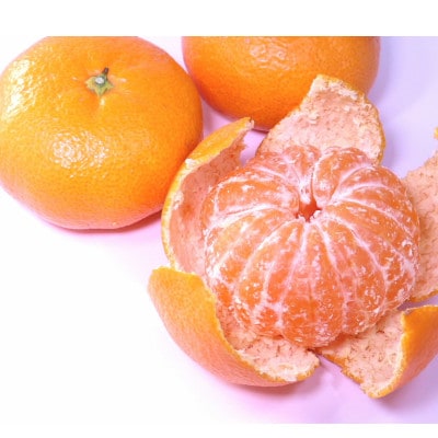 温州みかん　2S～2L　約5kg(熊本市)