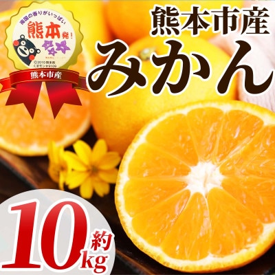温州みかん　2S～2L　約10kg(熊本市)