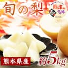 旬の梨(幸水・豊水・秋月・新高・新興・秋麗・甘太・凛果・にっこり・愛宕のいずれか)約5kg(熊本市)