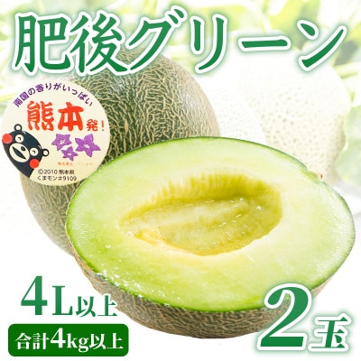 肥後グリーンメロン　2玉　合計4kg以上(熊本市)