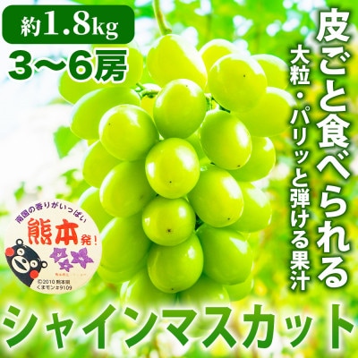 熊本産 甘みが強く香り高いぶどう! シャインマスカット 約1.8kg 3～6房(熊本市)