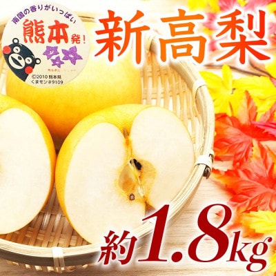新高梨 5～7玉 約1.8kg(熊本市)