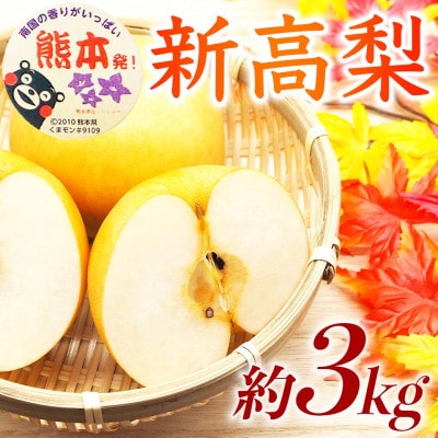 新高梨 4～12玉 約3kg(熊本市)