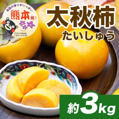 【先行予約】 熊本県産 新触感 柿 高糖度 甘い 太秋柿 約3kg(8～15玉)(熊本市)