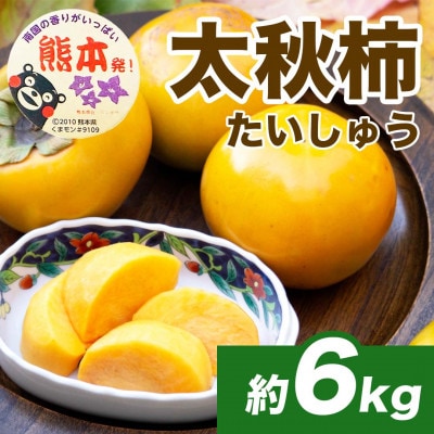 【先行予約】 熊本県産 新触感 柿 高糖度 甘い 太秋柿 約6kg(16～30玉)(熊本市)