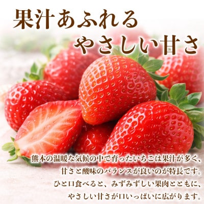 いちご 約2kg(約250g×8パック)(熊本市)