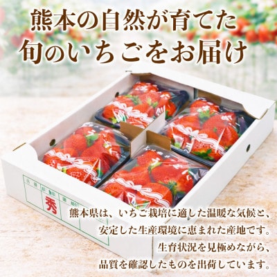 いちご 約2kg(約250g×8パック)(熊本市)