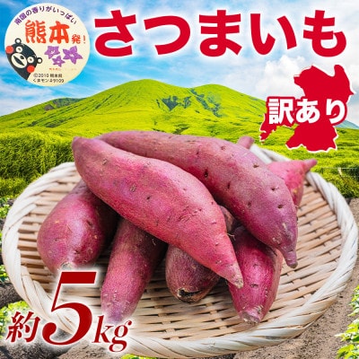 訳あり さつまいも 約5kg(熊本市)