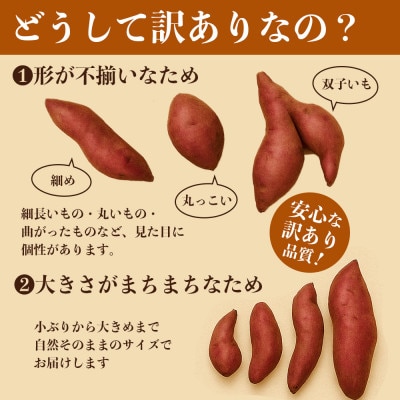 訳あり さつまいも 約5kg(熊本市)