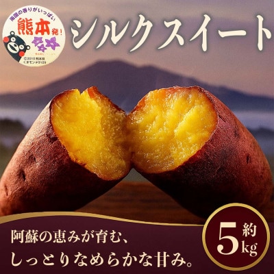 シルクスイート さつまいも 約5kg(熊本市)