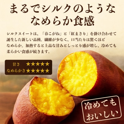 シルクスイート さつまいも 約5kg(熊本市)