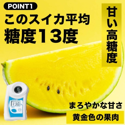 【先行予約】TVで紹介 高糖度の金色すいか! 熊本県産 金色羅王 3L以上 1玉 約8kg(熊本市)