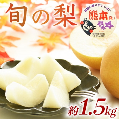 【数量限定】秋のフルーツ! 熊本県産 旬の梨 (豊水・秋月・新高)約1.5kg(5～10玉) 熊本市