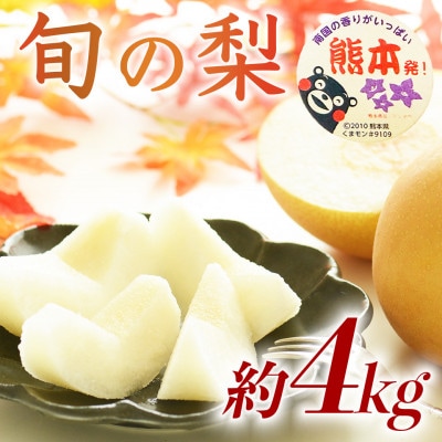 【数量限定】秋のフルーツ! 熊本県産 旬の梨 (豊水・秋月・新高)約4kg(6～24玉)(熊本市)