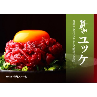 馬刺し赤身ユッケ10個セット(熊本市)