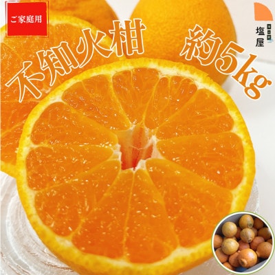 不知火(しらぬい)柑　約5kg(ご家庭用)