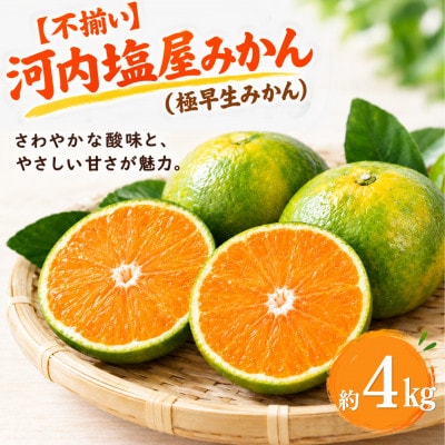 【不揃い】河内 塩屋みかん (極早生みかん) 約4kg