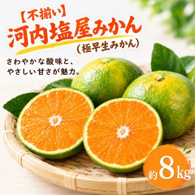 【不揃い】河内 塩屋みかん (極早生みかん) 約8kg