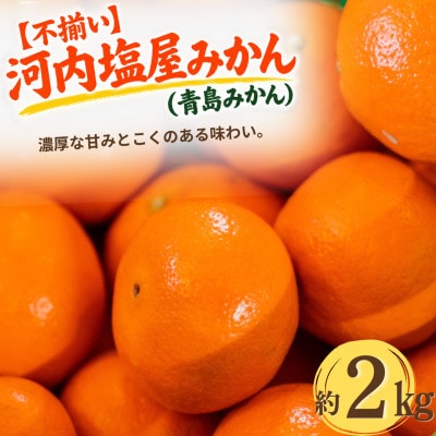 【不揃い】河内 塩屋みかん (青島みかん) 約2kg