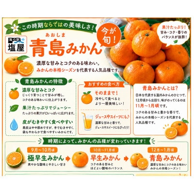 【不揃い】河内 塩屋みかん (青島みかん) 約2kg