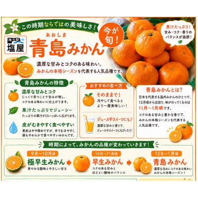 【不揃い】河内 塩屋みかん (青島みかん) 約4kg