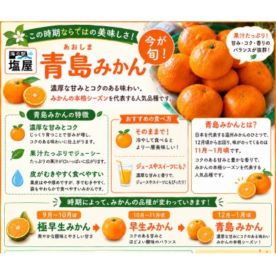【不揃い】河内 塩屋みかん (青島みかん) 約8kg
